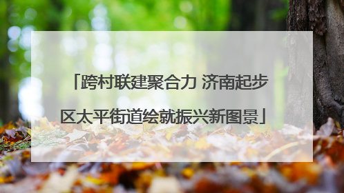 跨村联建聚合力 济南起步区太平街道绘就振兴新图景
