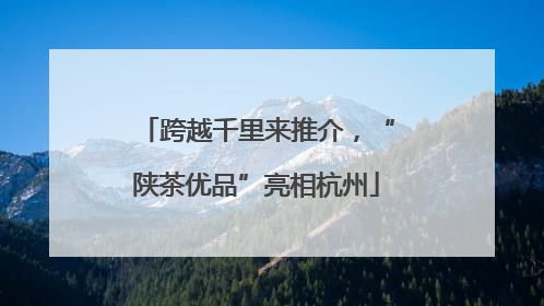 跨越千里来推介，“陕茶优品”亮相杭州