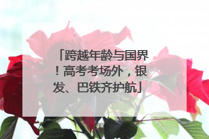 跨越年龄与国界！高考考场外，银发、巴铁齐护航