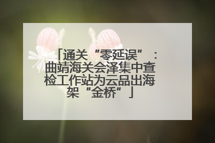 通关“零延误”：曲靖海关会泽集中查检工作站为云品出海架“金桥”