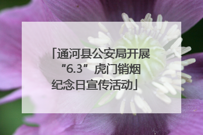 通河县公安局开展“6.3”虎门销烟纪念日宣传活动