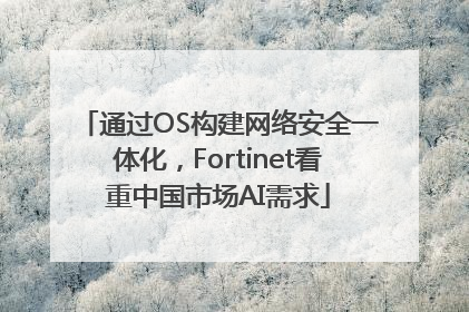 通过OS构建网络安全一体化，Fortinet看重中国市场AI需求