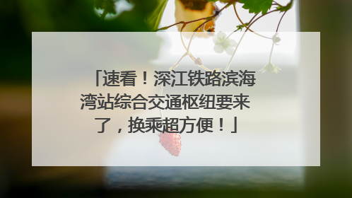 速看！深江铁路滨海湾站综合交通枢纽要来了，换乘超方便！