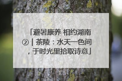 避暑康养 相约湖南②｜茶陵：水天一色间，于时光里拾取诗意