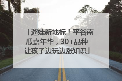 遛娃新地标！平谷南瓜嘉年华，30+品种让孩子边玩边涨知识