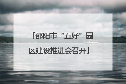 邵阳市“五好”园区建设推进会召开