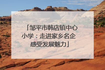 邹平市韩店镇中心小学：走进家乡名企 感受发展魅力
