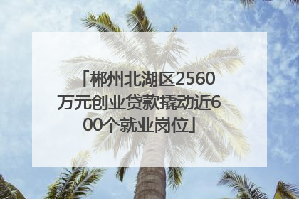 郴州北湖区2560万元创业贷款撬动近600个就业岗位