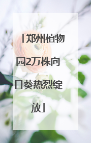 郑州植物园2万株向日葵热烈绽放