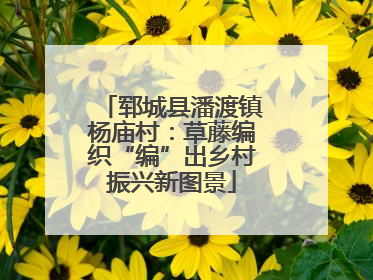 郓城县潘渡镇杨庙村：草藤编织“编”出乡村振兴新图景
