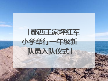 郧西王家坪红军小学举行一年级新队员入队仪式
