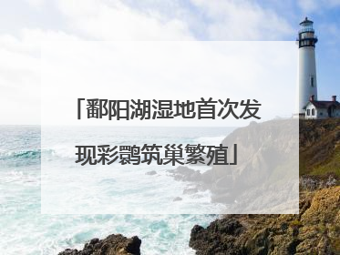 鄱阳湖湿地首次发现彩鹮筑巢繁殖