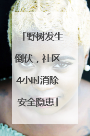 野树发生倒伏，社区4小时消除安全隐患