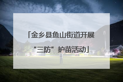 金乡县鱼山街道开展“三防”护苗活动