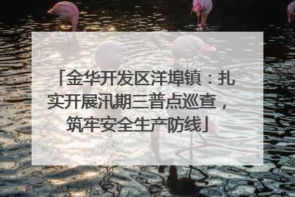 金华开发区洋埠镇：扎实开展汛期三普点巡查，筑牢安全生产防线