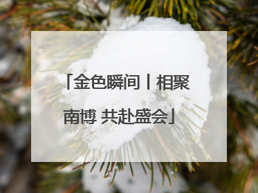 金色瞬间丨相聚南博 共赴盛会