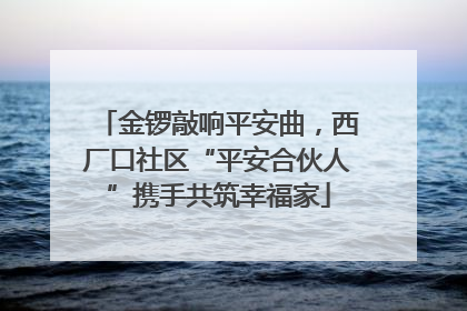 金锣敲响平安曲，西厂口社区“平安合伙人”携手共筑幸福家