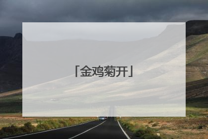 金鸡菊开