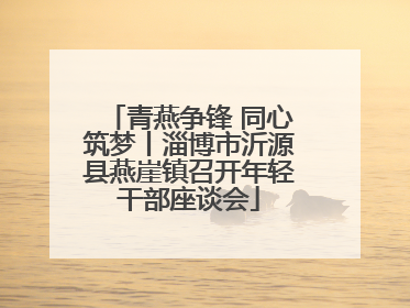 青燕争锋 同心筑梦丨淄博市沂源县燕崖镇召开年轻干部座谈会