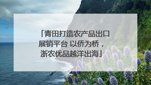 青田打造农产品出口展销平台 以侨为桥，浙农优品越洋出海