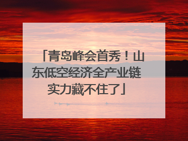 青岛峰会首秀！山东低空经济全产业链实力藏不住了