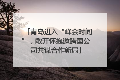 青岛进入“峰会时间”，敞开怀抱邀跨国公司共谋合作新局