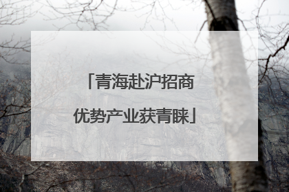 青海赴沪招商 优势产业获青睐
