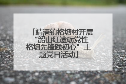 靖港镇格塘村开展“韶山红途砺党性 格塘先锋践初心”主题党日活动