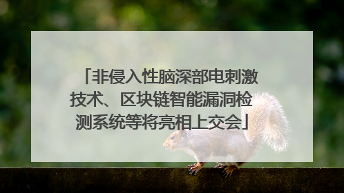 非侵入性脑深部电刺激技术、区块链智能漏洞检测系统等将亮相上交会