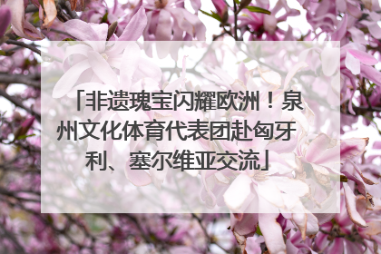 非遗瑰宝闪耀欧洲！泉州文化体育代表团赴匈牙利、塞尔维亚交流