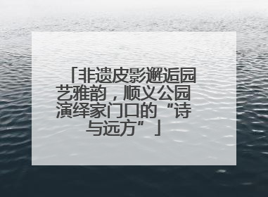 非遗皮影邂逅园艺雅韵，顺义公园演绎家门口的“诗与远方”