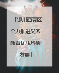 银川西夏区全力推进义务教育优质均衡发展