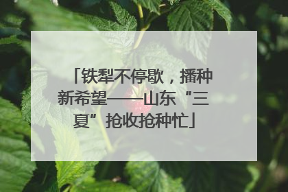 铁犁不停歇，播种新希望——山东“三夏”抢收抢种忙