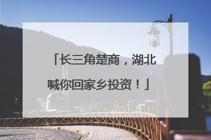 长三角楚商，湖北喊你回家乡投资！