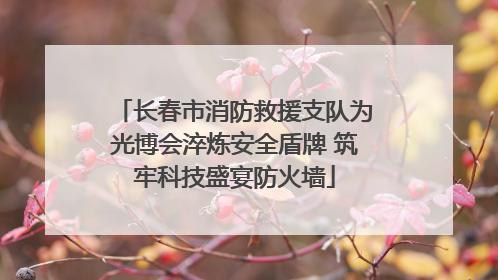 长春市消防救援支队为光博会淬炼安全盾牌 筑牢科技盛宴防火墙