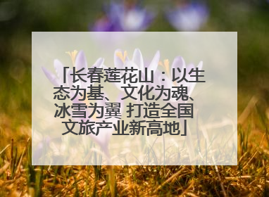 长春莲花山：以生态为基、文化为魂、冰雪为翼 打造全国文旅产业新高地