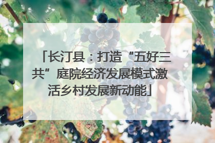长汀县：打造“五好三共”庭院经济发展模式激活乡村发展新动能