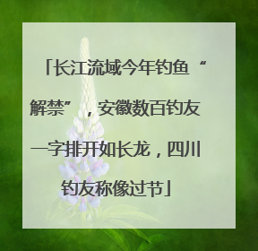 长江流域今年钓鱼“解禁”，安徽数百钓友一字排开如长龙，四川钓友称像过节