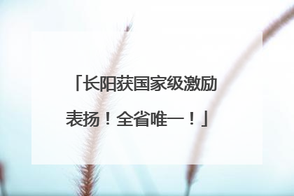 长阳获国家级激励表扬！全省唯一！