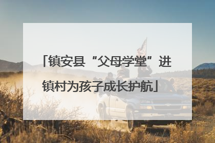 镇安县“父母学堂”进镇村为孩子成长护航
