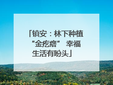 镇安：林下种植“金疙瘩” 幸福生活有盼头