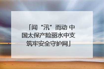 闻“汛”而动 中国太保产险丽水中支筑牢安全守护网
