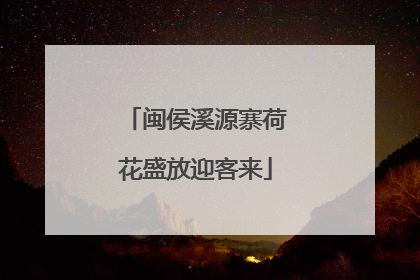 闽侯溪源寨荷花盛放迎客来