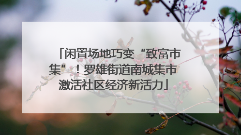 闲置场地巧变“致富市集”！罗雄街道南城集市激活社区经济新活力