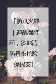 防汛火线｜迎战强降雨，多地消防昼夜抢险保民安