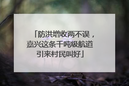 防洪增收两不误，嘉兴这条千吨级航道引来村民叫好