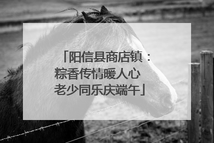 阳信县商店镇：粽香传情暖人心 老少同乐庆端午
