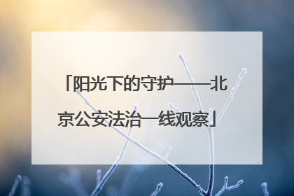 阳光下的守护——北京公安法治一线观察