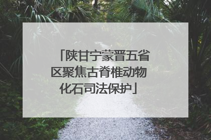 陕甘宁蒙晋五省区聚焦古脊椎动物化石司法保护