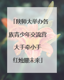 陕师大举办各族青少年交流营 大手牵小手 红烛耀未来